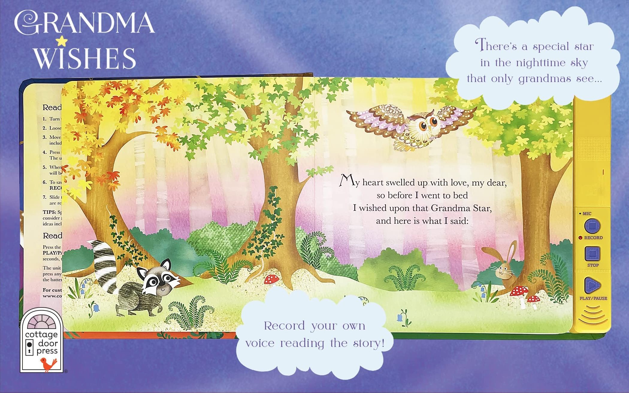 Grandma Wishes Recordable Keepsake Board Book Record Your Voice Reading the Story record book