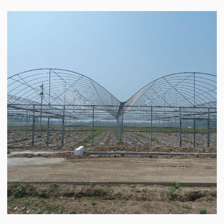 Multi-span plastic greenhouse structure large agricultural tropical film greenhouse used for sale