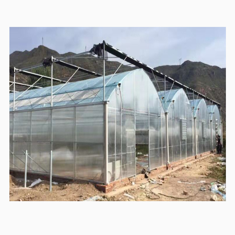 Multi-span plastic greenhouse structure large agricultural tropical film greenhouse used for sale