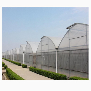 Multi-span plastic greenhouse structure large agricultural tropical film greenhouse used for sale