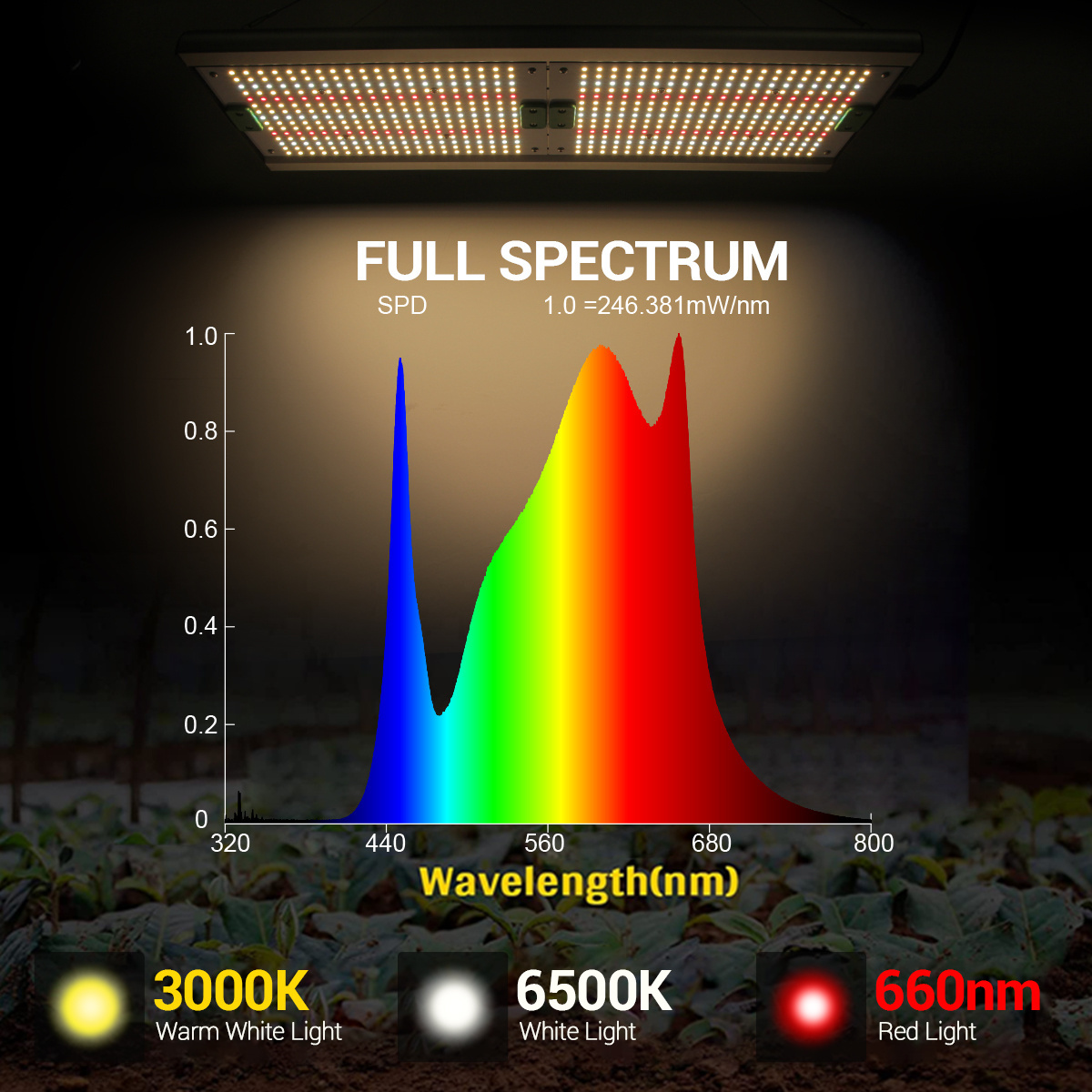 2022 New Full Spectrum 240W LED Grow Lights for Household  Medical Plants Cultivation in 4x4 Grow Tent