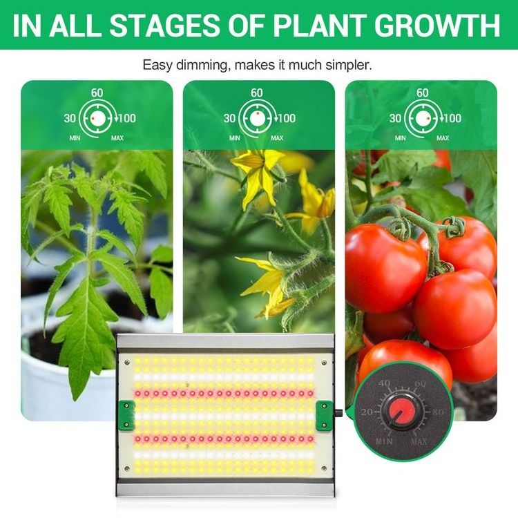 2022 New Full Spectrum 240W LED Grow Lights for Household  Medical Plants Cultivation in 4x4 Grow Tent