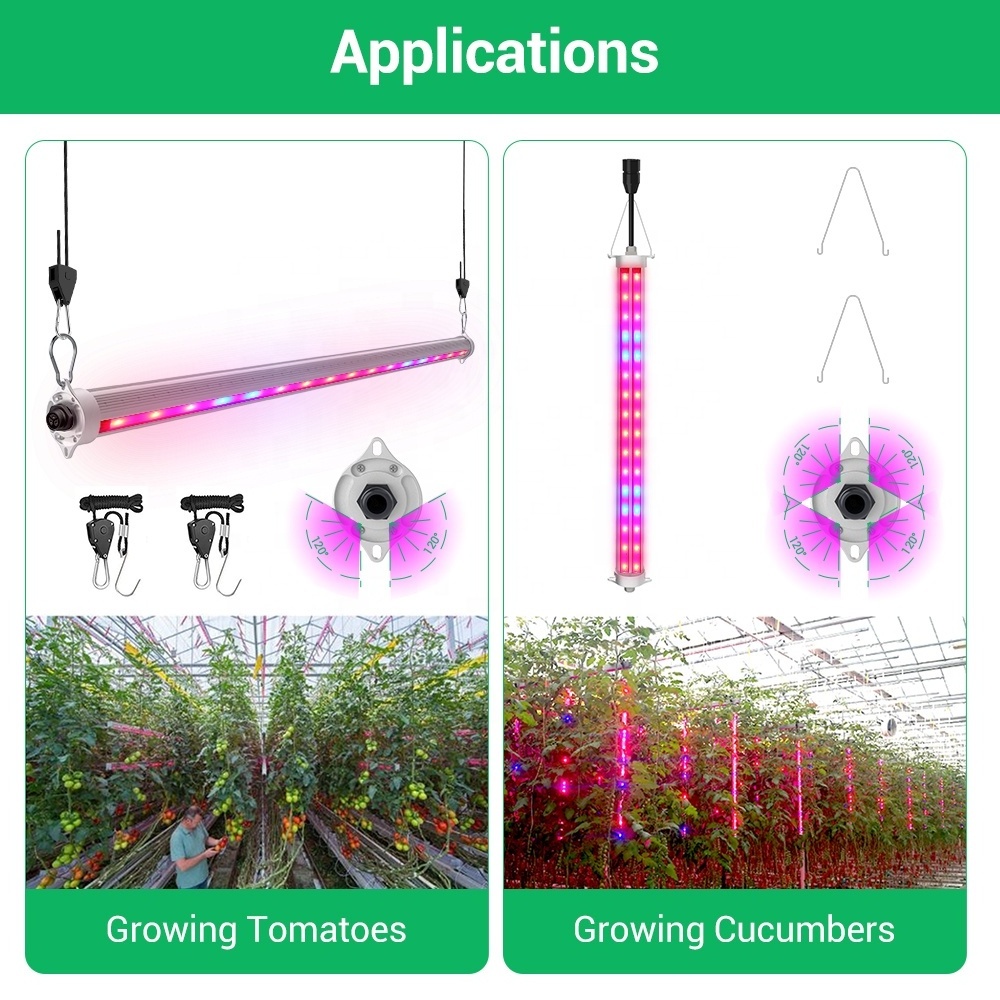 interlight 2 sides 4 sides 60W 120W single strip bar red and blue spectrum interlighting led grow light for tomato pepper plants