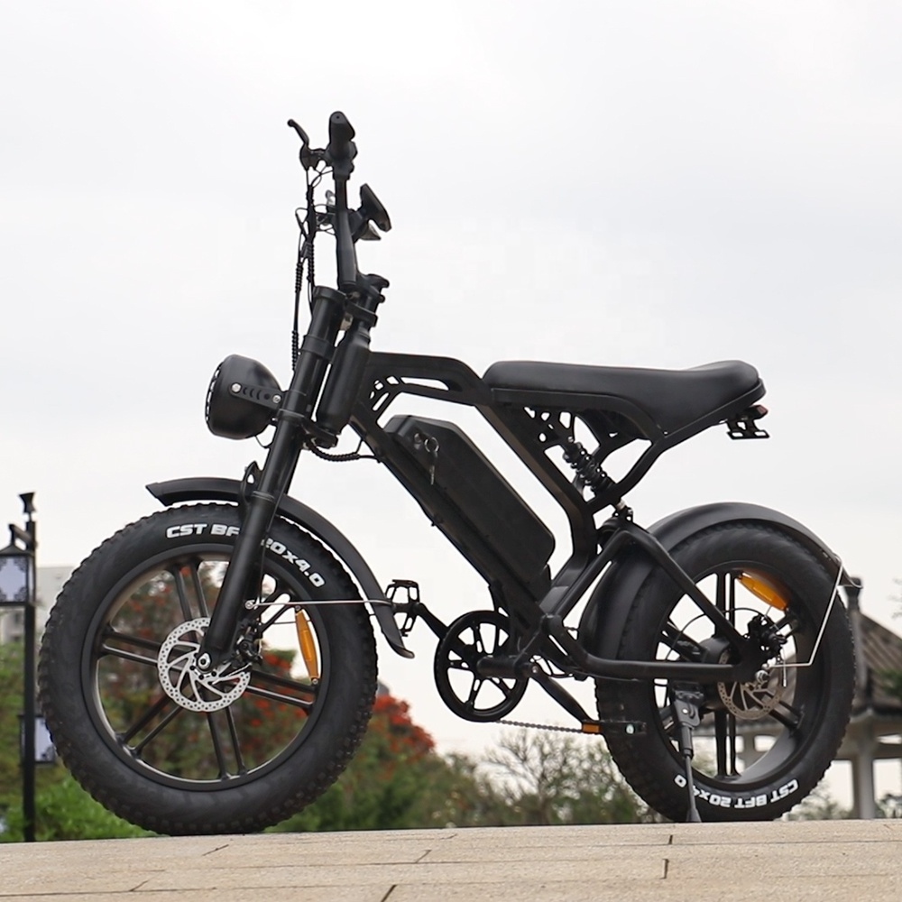 Eu Usa Warehouse E Bikes Fat Tire 1000watt Electric Bicycle Cheap Electric Bike Two Wheel Low Price Electric Bicycle for Sale