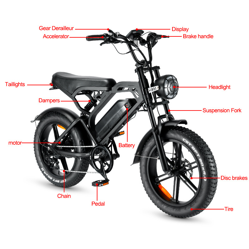 EU Stock Ebike 750W Electric Bike 20''*4 Big Tire Fat Bike Electric Mountain City Ride Off Road Electric Bikes