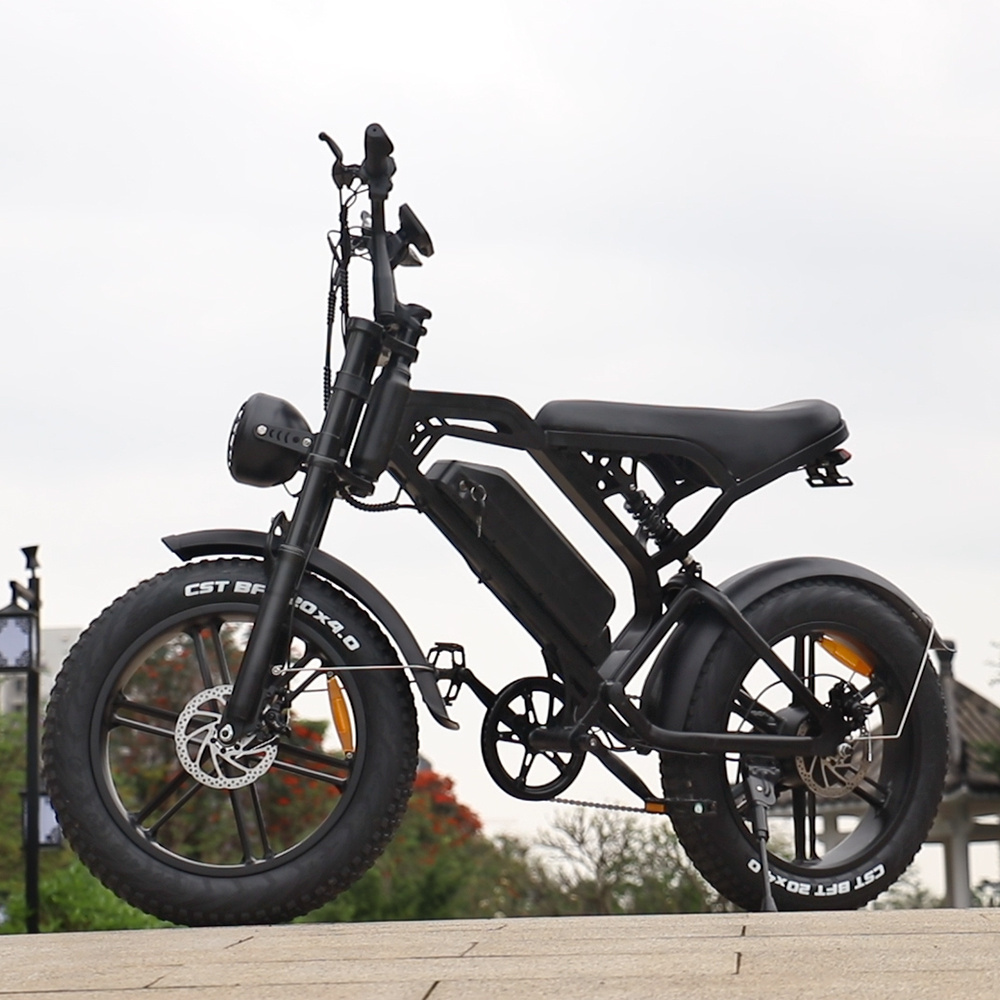 Eu Warehouse Dirt Bike Electric Buy Electric Bike Mountain 1000w Bicycle Electric Bike Prices Steel Customized Logo 48V V20 20