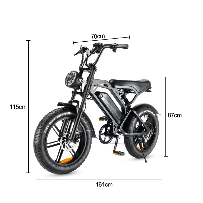 V20 E Bicycle Electric Bike 750w 20inch Fat Tire E-Bike Cheap Electric Bicycle Eu Usa Electric Bicycle Price