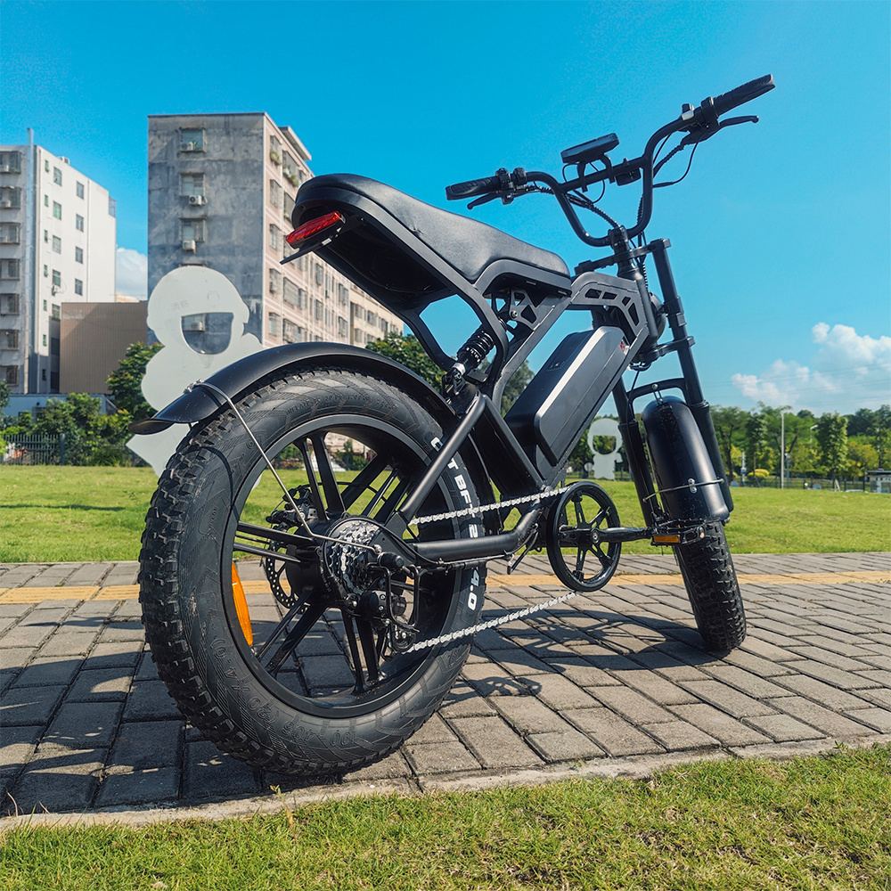 Winter Sales V20 Electric Dirt Bike 750w 20inch Fat Tire E-Bike Cheap Electric Mountain Bike Eu Usa Electric City Bike