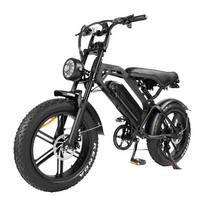 Winter Sales V20 Electric Bicycle 750w 20inch Fat Tire E-Bike 250w Electric Bicycle Steel Eu Usa Adult Fatbike 48v Bicycle