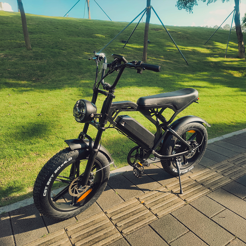 Fast Electric Bicycle Mountain Fatbike Eu Cheap 500W Fat Tire Ebike Motorcycles Bike Electric