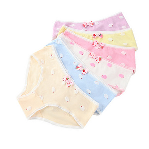 Wholesale price luxury ladies inner wear panties cotton panties for ladies wholesale bale lovely women's underwear