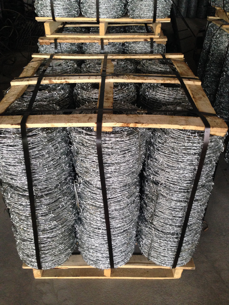 China Factory Electro Galvanized Barbed Wire