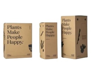 Suitcase Foldable Custom Succulent Packaging Live Cardboard Potted Plants Package Shipping Box