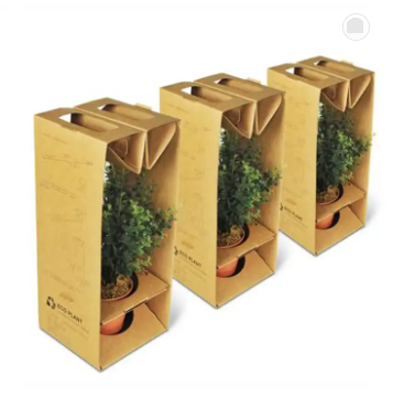 Suitcase Foldable Custom Succulent Packaging Live Cardboard Potted Plants Package Shipping Box