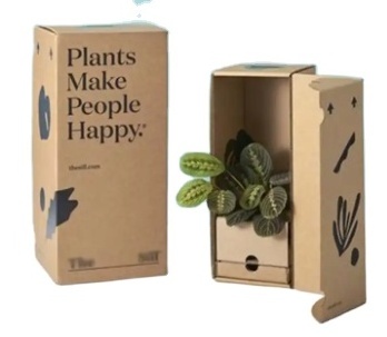 Suitcase Foldable Custom Succulent Packaging Live Cardboard Potted Plants Package Shipping Box