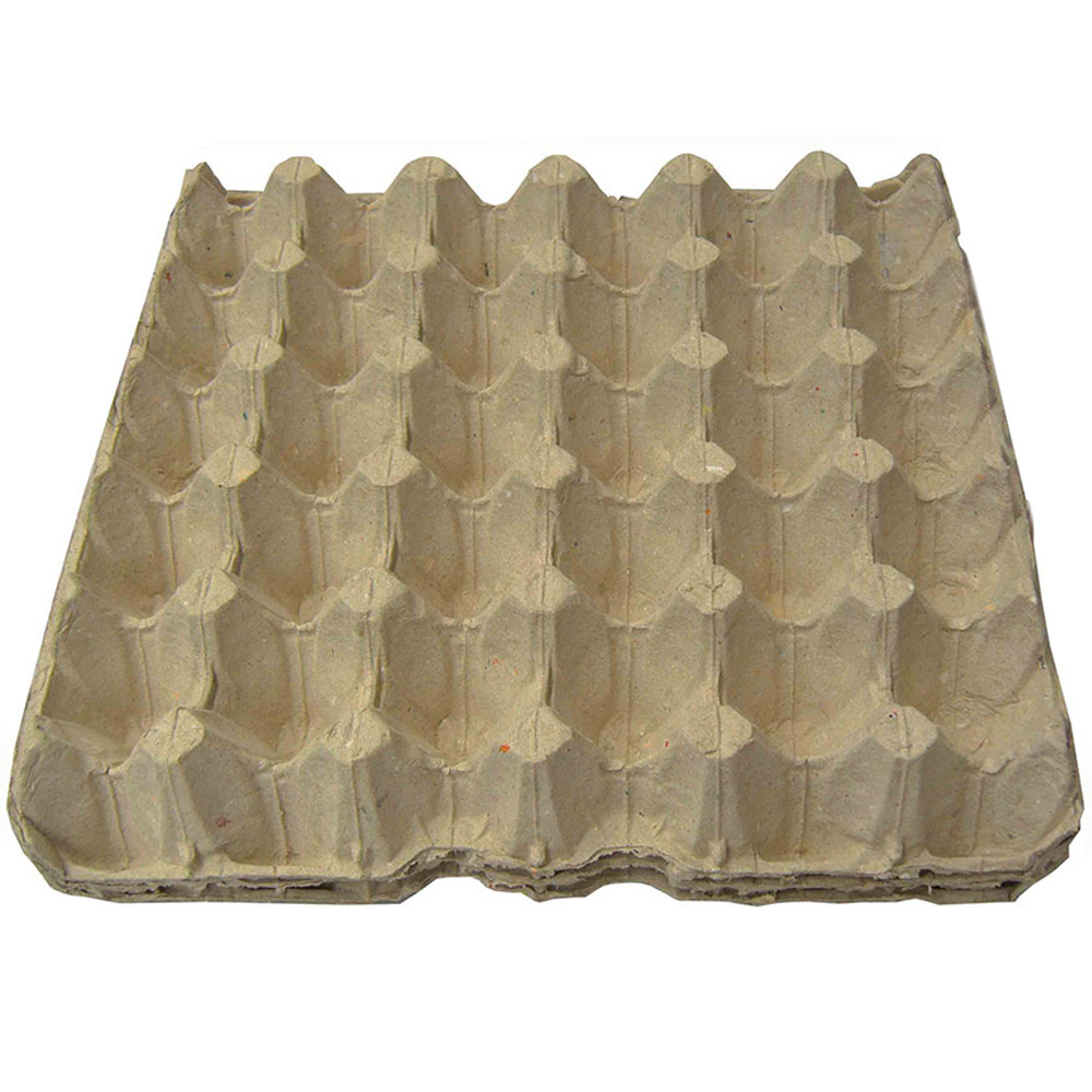 MOLD  RECYCLE BIODEGRADABLE  QUALITY EGG TRAY PAPER  EGG TRAY BANDEJA PARA HUEVOS