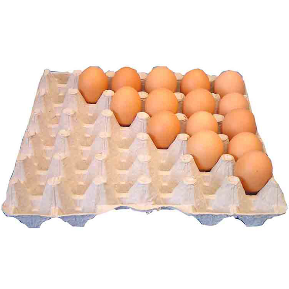 MOLD  RECYCLE BIODEGRADABLE  QUALITY EGG TRAY PAPER  EGG TRAY BANDEJA PARA HUEVOS