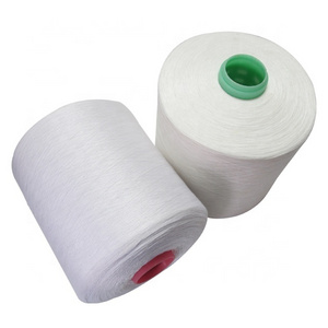 Polister Yarn 16/2 Poly Poly Core Spun Market Polister Yarn