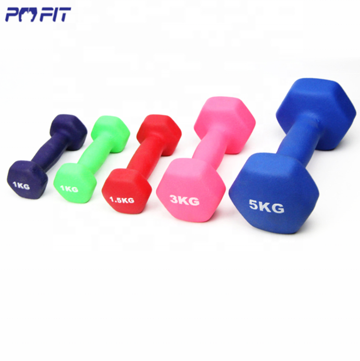 Gym fitness pesas de gimnasio mancuernas dumbbell set 10 pounds 20 lbs neoprene vinyl dumbbel female dumbbells