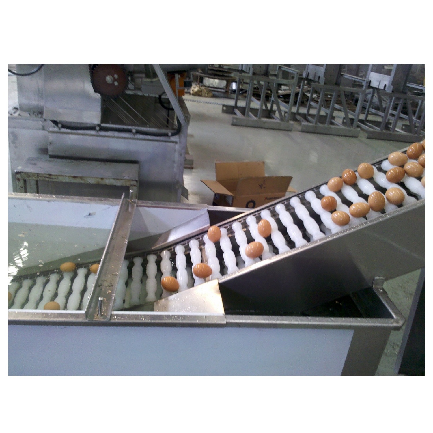 turnkey project 10000 eggs washing breaking machine egg yolk white separating egg liquid production line