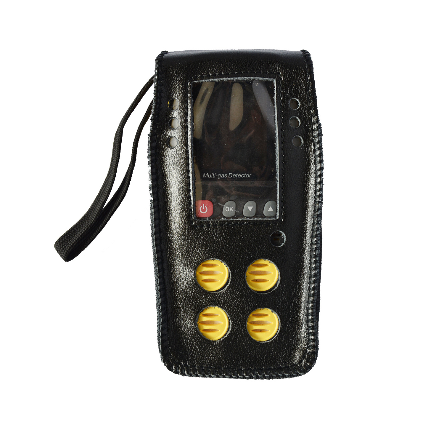 2 gas detector, SA-M203, Monitor Ammonia and Oxygen for Poultry Houses