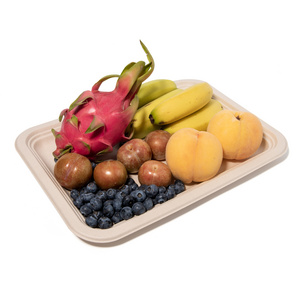 14 Inch Biodegradable Compostable High-capacity Sugarcane Bagasse Paper Fruit Square Plate