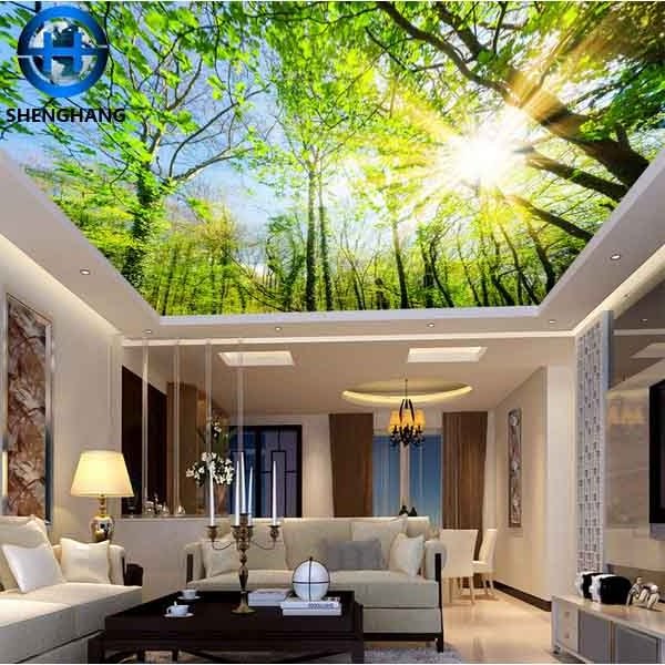 Ceiling sky wall paper/8d wallpaper with china wall paper high quality design beautiful color wall wallpaper