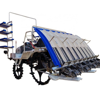 Riding Type Rice Planter Transplanter for Paddy Rice Planter of Paddy planting machines price