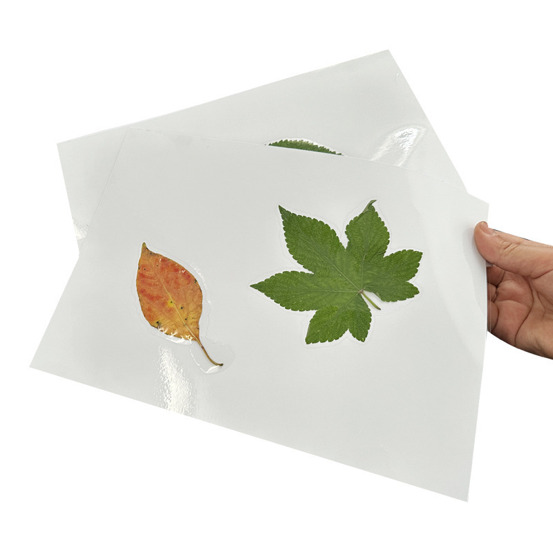 Clear Thermal Laminating Paper PET Hot / Cold Laminating Pouch Clear Film A4 A3 Sheet For Photo File Document Report