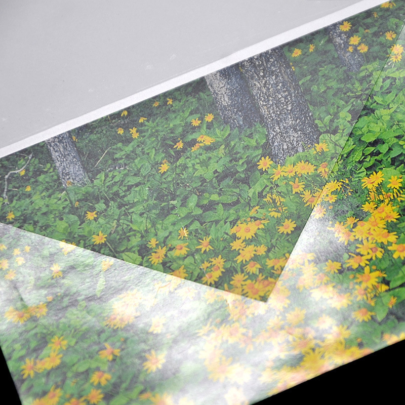 Clear Thermal Laminating Paper PET Hot / Cold Laminating Pouch Clear Film A4 A3 Sheet For Photo File Document Report