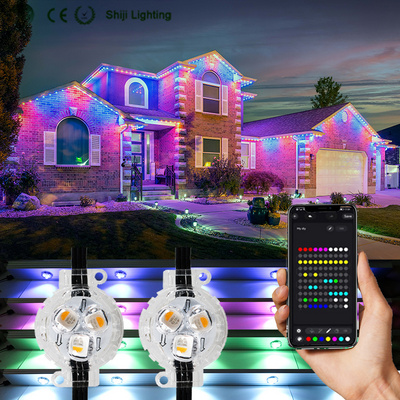 SHIJI Hot Sale IP68 12v Permanent Christmas Holiday Outdoor Point Lighting 30Mm Led Smd5050 Rgbw Led Pixel Point Lights