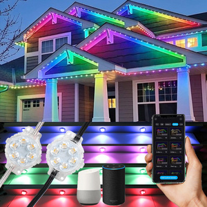 SHIJI 40 mm Rgb rgbw Waterproof Luminous Power Rohs Outdoor holiday Lighting Color Led pixel modules point Light