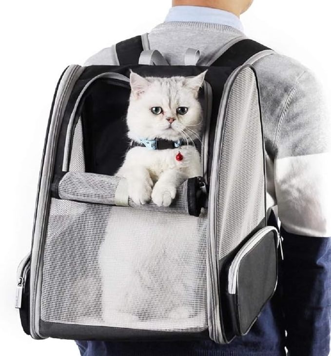 Texsens Innovative Traveler Bubble Backpack Pet Carriers for Cats and Dogs