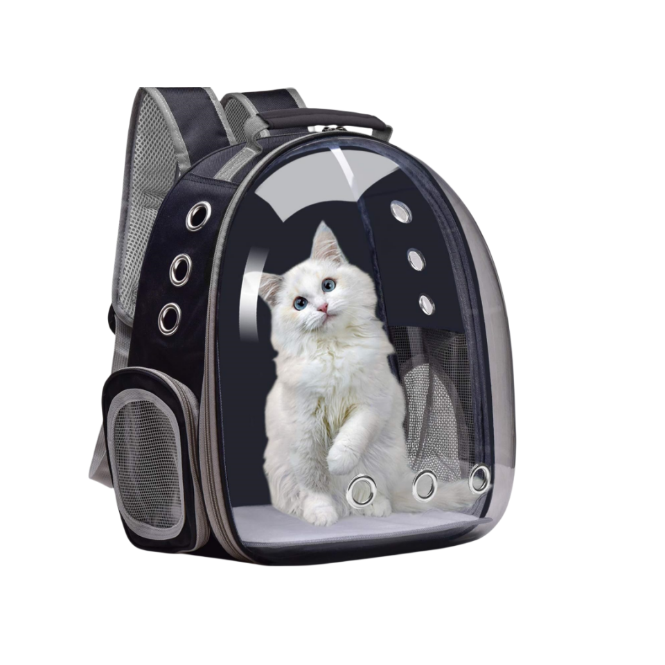 Pet Drop Shipping Airline Approved Travel Pet Cat Carrier Backpack Bubble Dog Bag