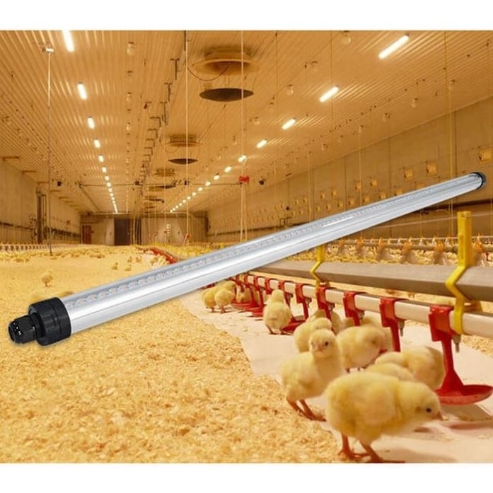 Shingel 1500mm 45w 65w tube Dimmable IP69K waterproof chicken farm led poultry lighting system with timer