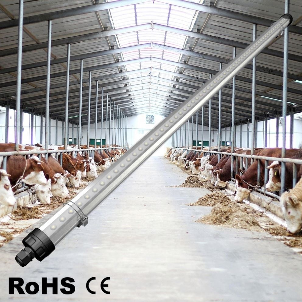 Shingel 1500mm 45w 65w tube Dimmable IP69K waterproof chicken farm led poultry lighting system with timer