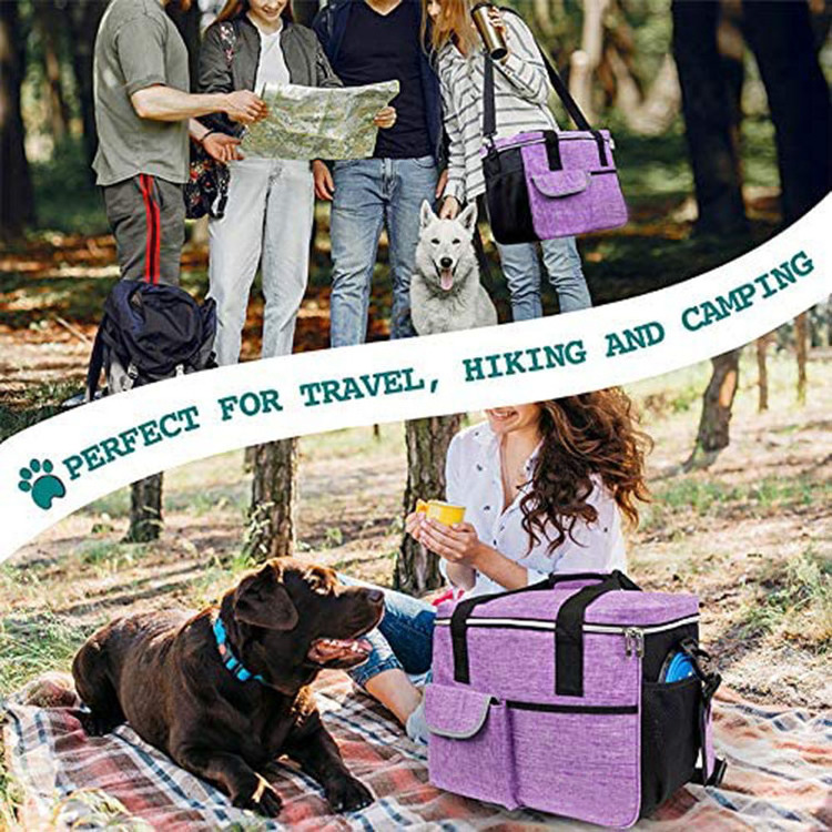 Pet Travel Bag Airline Approved  Dog Sport Supplies Kit Toy Dry Food Storage Dog Travel Bag Dog Pet Accessories For Home