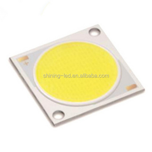 3 Years Warranty High Quality 1919 10W 20W 30W 35W 40W 50W 60W COB LED Chip for Light