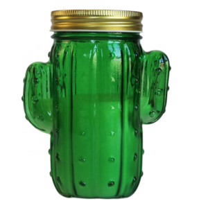 Factory Mason Cactus Jar Candles Scented Garden Outdoor Essential Oil Mosquito Insect Bug Repellent Citronella Glass Candle