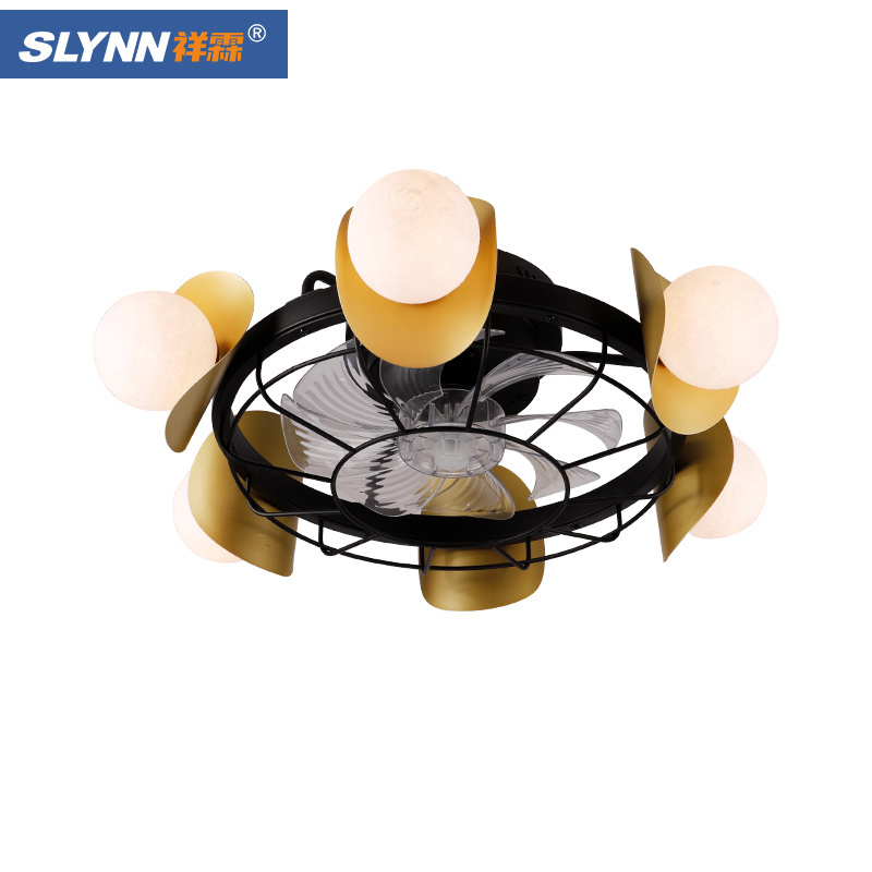 SLYNN Decoration Home Ceiling Fan With Light Fancy Design Ceiling Fan With Light, LED Ceiling fan Light