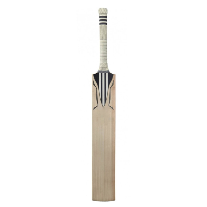 Top Selling English Willow Wood Cricket Bat Professional Cricket Bat Set