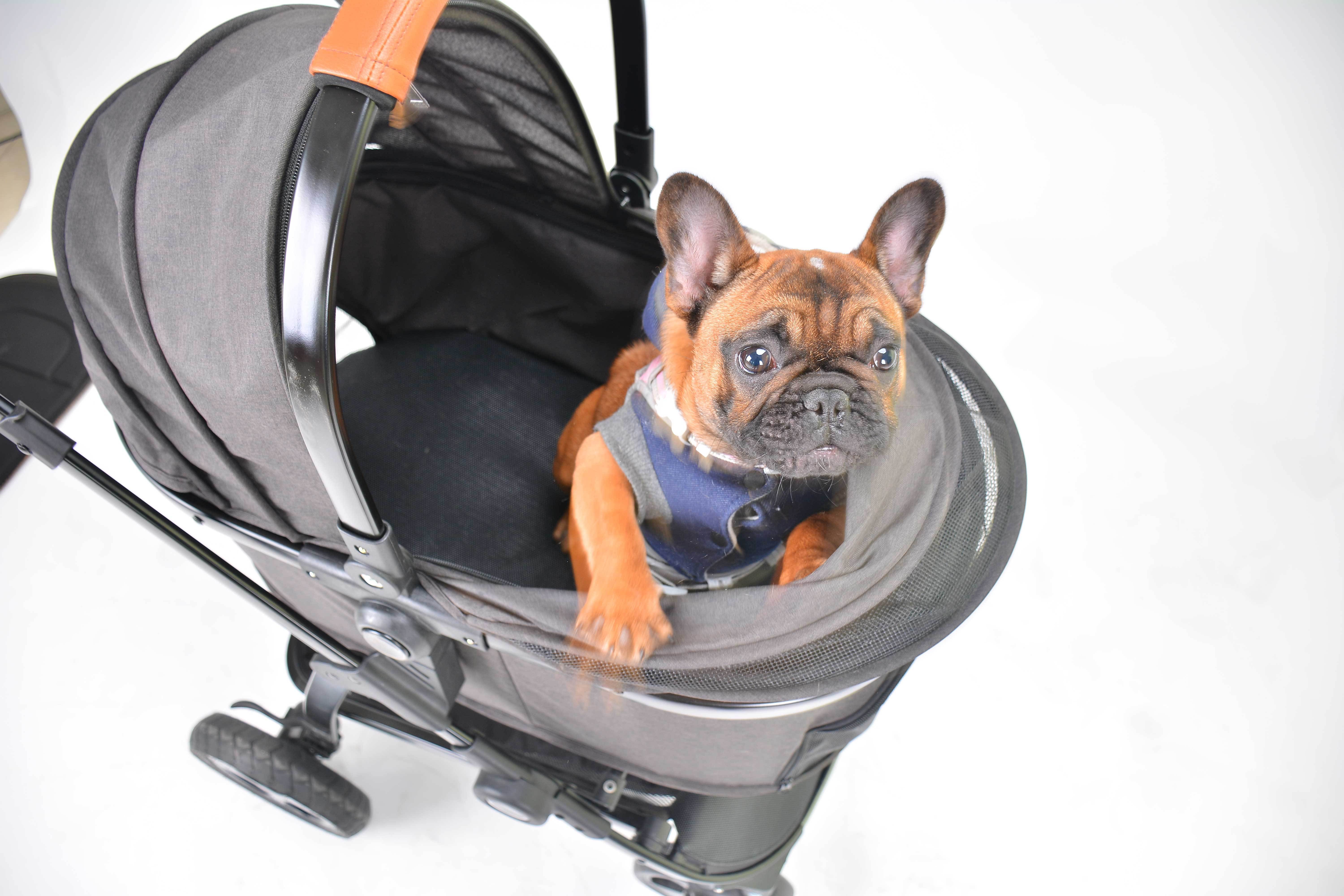 Kenyone 4-Wheels Cat Stroller Pet Carrier Strolling Cart Foldable Dog Stroller With Removable Liner pet dog trolley