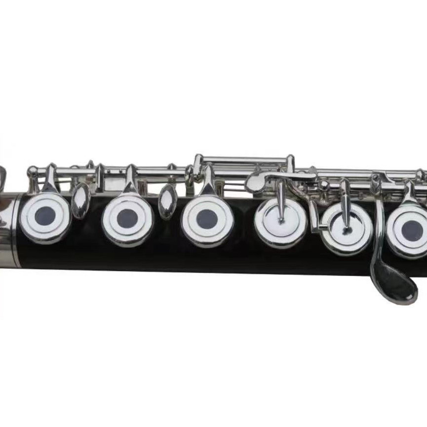 Professional wood flute cheap price Ebody wood flute for professional player