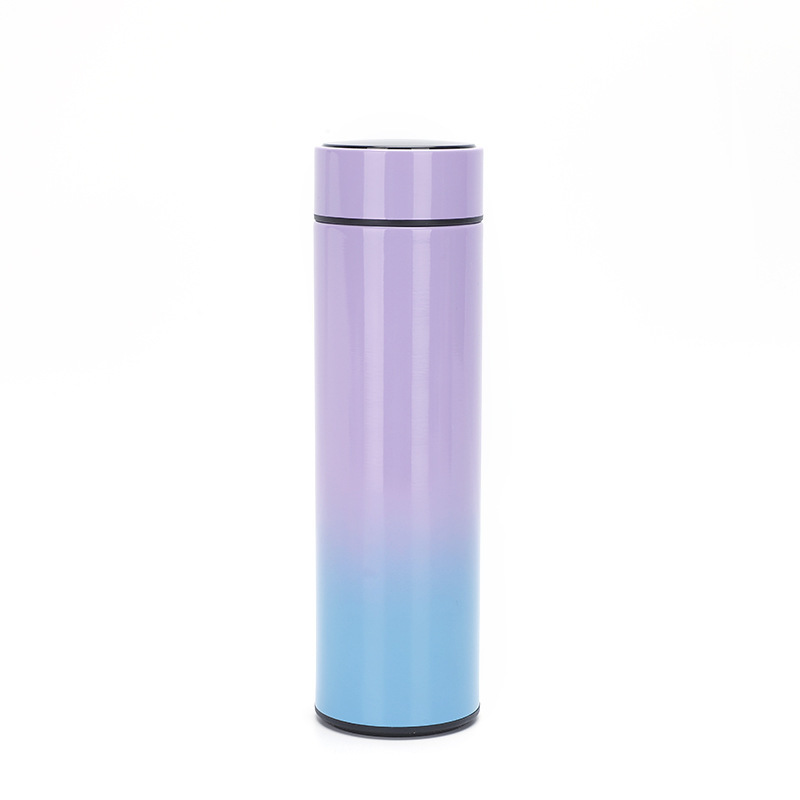 Insulated Water Bottles - Insulated Stainless Steel Water Bottles LED Temperature Display BPA Free Water Bottle