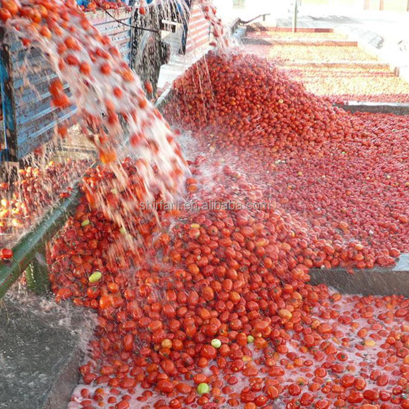 Tomato sauce ketchup production processing line sachet paste filling machinery