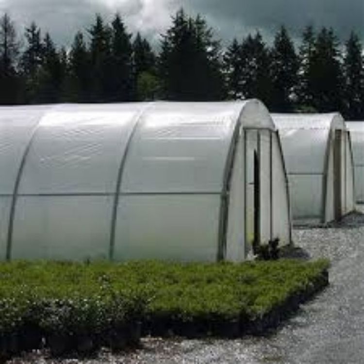 Vegetable Cabin Tunnel Agricultural Frame Chillum Climate Control Heat Seamless Steel Pipe Tube Greenhouses for Sale