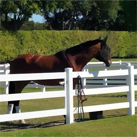 Customized pvc coated ranch rail horse yard fence panels anti-corrosive farm fencing vinyl horse fence with good price