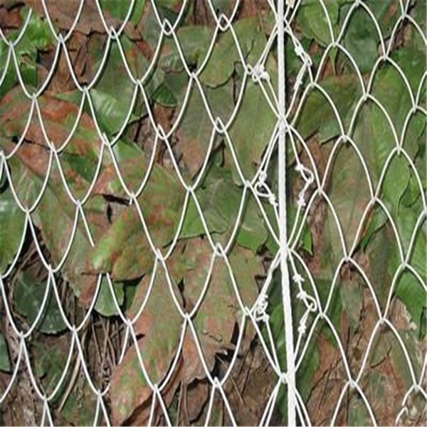 Anping hexagonal reinforced protective rock falling net sns slope protective net