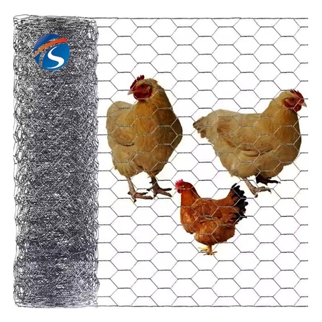 Galvanized hexagonal wire netting/hexagonal wire mesh/chicken coop wire mesh