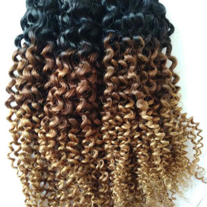 Natural Raw Straight Wavy Curly Human Hair Bundles Indian Remy Hair Bundles Raw Virgin Human Brazilian Cuticle Aligned Hair